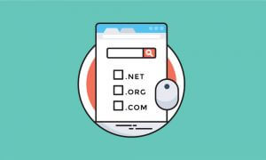 domain-cpanel